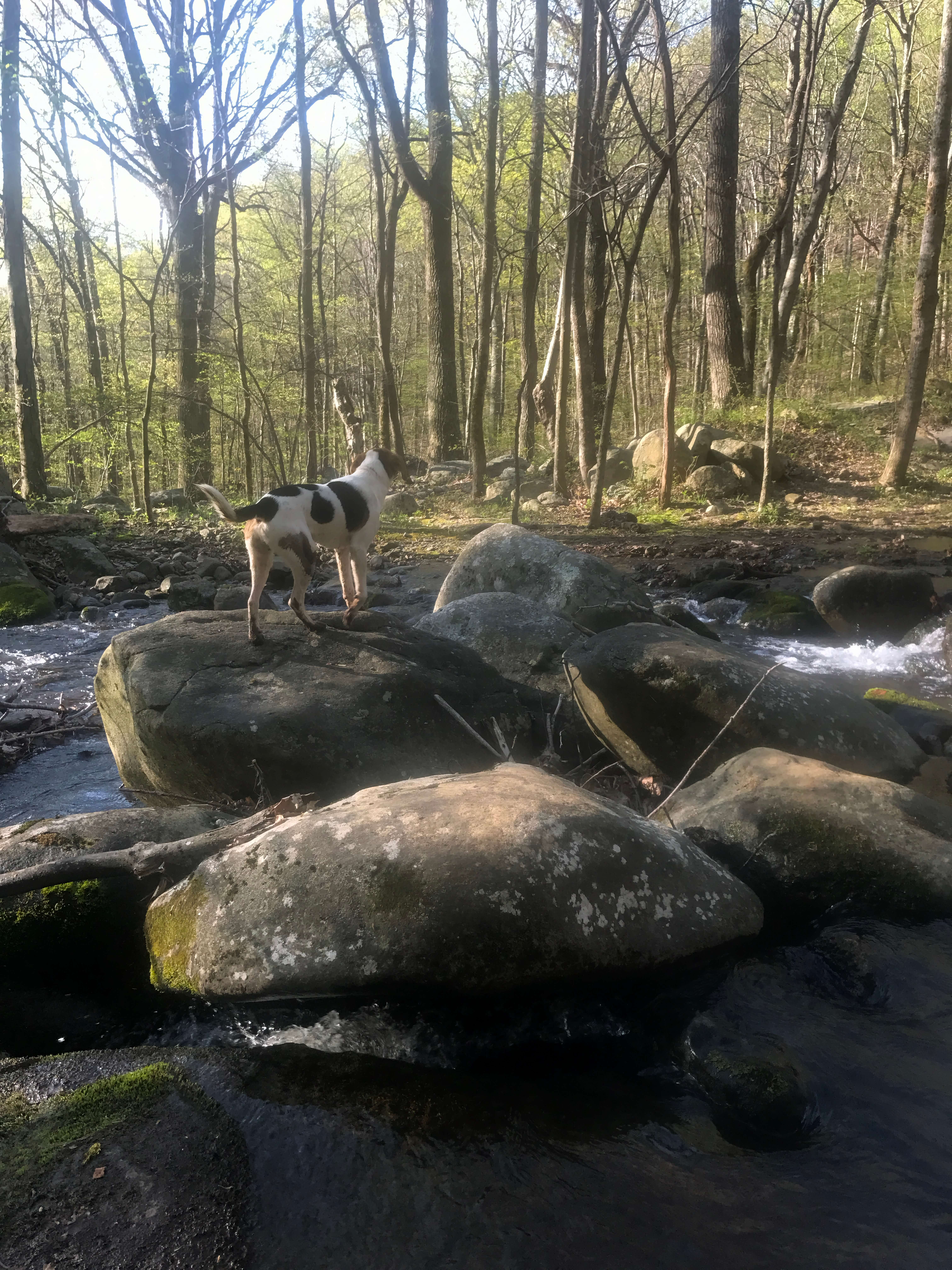 Solid Rock or Sinking Sand?